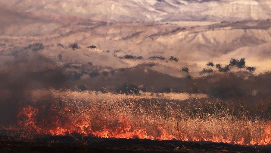 Flames rise as firefighters battle the Gifford Fire in brush-covered hillsides west of New Cuyama, California, U.S. August 4, 2025. REUTERS/David Swanson