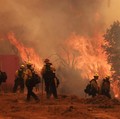 10 Kebakaran Hutan Termahal dalam Sejarah AS, Ribuan Triliun Hangus