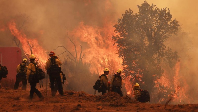 Flames rise as firefighters battle the Gifford Fire in brush-covered hillsides west of New Cuyama, California, U.S. August 4, 2025. REUTERS/David Swanson