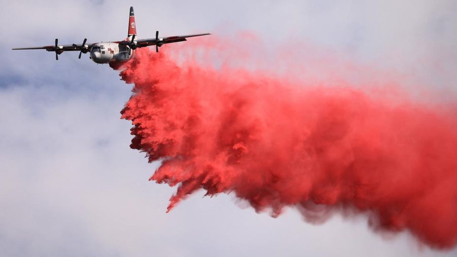 Flames rise as firefighters battle the Gifford Fire in brush-covered hillsides west of New Cuyama, California, U.S. August 4, 2025. REUTERS/David Swanson