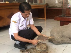 Tak Cuma Tanduk, Fragmen Tengkorak Kerbau Purba Juga Ditemukan di Blora