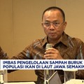 Video: Efek Pengelolaan Sampah Buruk, Populasi Ikan di Laut Jawa Turun