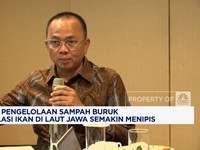 Video: Efek Pengelolaan Sampah Buruk, Populasi Ikan di Laut Jawa Turun