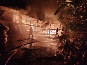Kandang Isi 18 Ribu Ayam di Temanggung Terbakar, Hanya 200 yang Selamat