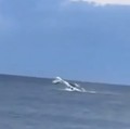 Pesawat Jatuh di Pantai Wisata, Pengunjung Panik