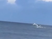 Pesawat Jatuh di Pantai Wisata, Pengunjung Panik