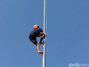 Aksi Heroik Petugas BPBD Lumajang Panjat Tiang Bendera Saat Tali Nyangkut