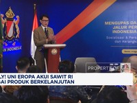 Video: Akhirnya! Uni Eropa Akui Sawit RI Sebagai Produk Berkelanjutan