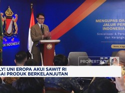 Video: Akhirnya! Uni Eropa Akui Sawit RI Sebagai Produk Berkelanjutan