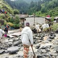 Banjir bandang dan tanah longsor melanda Desa Dharali di negara bagian Uttarakhand, Himalaya, India utara, pada Selasa (5/8/2025). (via REUTERS/Indo-Tibetan Border Police)