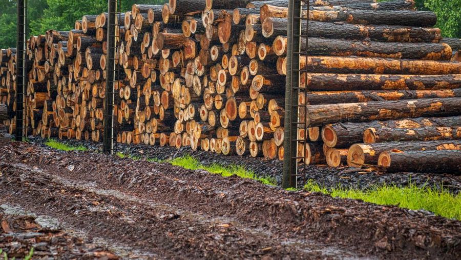 Lumber