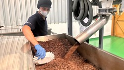 Kopi Sachet Juga Dibuat dari Biji Kopi Pilihan, Begini Prosesnya