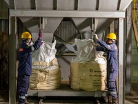 Dukung Industri Baterai EV, MIND ID Optimalkan Peran Mineral Kritis