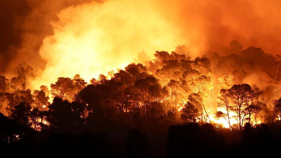 Trees burn during a wildfire near in Saint-Laurent-de-la-Cabrerisse, southern France, August 6, 2025. REUTERS/Abdul Saboor