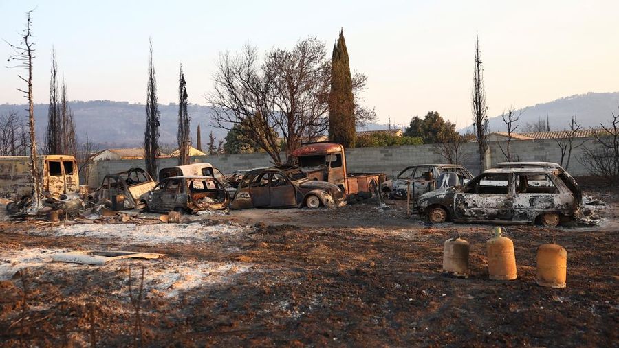 Trees burn during a wildfire near in Saint-Laurent-de-la-Cabrerisse, southern France, August 6, 2025. REUTERS/Abdul Saboor
