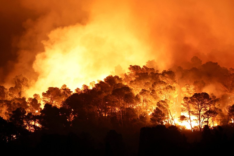 Trees burn during a wildfire near in Saint-Laurent-de-la-Cabrerisse, southern France, August 6, 2025. REUTERS/Abdul Saboor