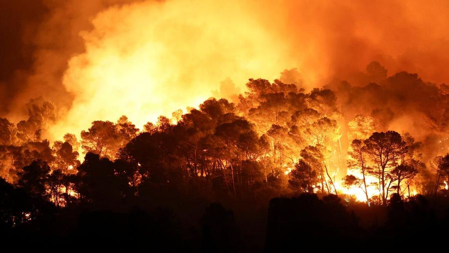 Trees burn during a wildfire near in Saint-Laurent-de-la-Cabrerisse, southern France, August 6, 2025. REUTERS/Abdul Saboor
