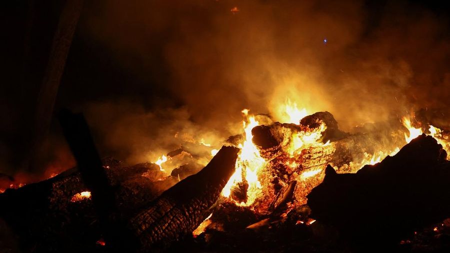 Trees burn during a wildfire near in Saint-Laurent-de-la-Cabrerisse, southern France, August 6, 2025. REUTERS/Abdul Saboor