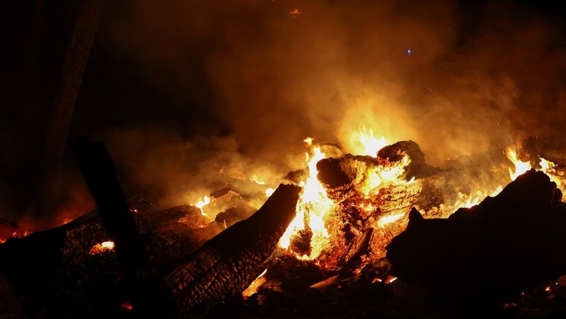 Trees burn during a wildfire near in Saint-Laurent-de-la-Cabrerisse, southern France, August 6, 2025. REUTERS/Abdul Saboor