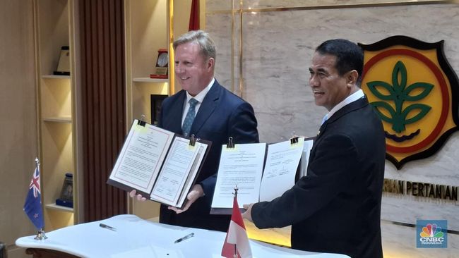 Amran Tawarkan CPO-Kelapa Sampai Kopi ke Mendag Selandia Baru