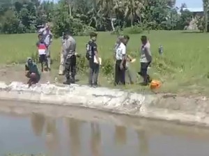 Geger Mayat Bayi Ditemukan Mengapung Dalam Saluran Irigasi di Polman