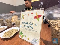 Kisah Pilu UMKM Kopi RI, Jadi Korban Tarif 19% dari AS