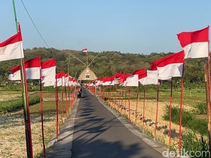Penampakan Sawah Seribu Bendera di Kulon Progo