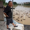 Mendadak Banjir Bandang, Potret Wilayah China Jadi Cokelat