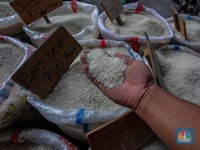 BPS Catat Harga Beras Tinggi di Papua, Ada yang Tembus Rp 54.772/Kg