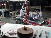 Pedagang Daging Jabodetabek Setop Jualan Mulai Besok, Ada Masalah Apa?