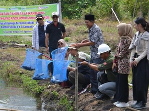 Kolaborasi BRIN-APP Group, Masyarakat Sakai Panen Ikan Baung
