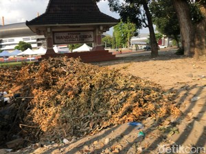 Pakar UGM Kritik Pembakaran Sampah di Mandala Krida, Ingatkan Bahaya Polusi