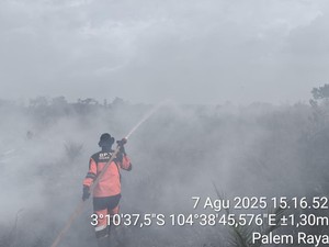 Tim Padamkan Karhutla di Ogan Ilir, Lokasi Terbakar Lahan Bergambut
