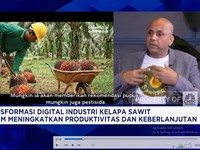 Video: Inovasi Bantu Petani Sawit Melek Teknologi & Makin Sejahtera
