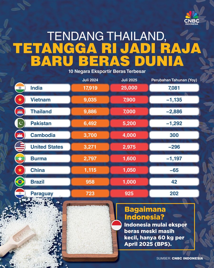 Tendang Thailand, Tetangga RI Jadi Raja Baru Beras Dunia
