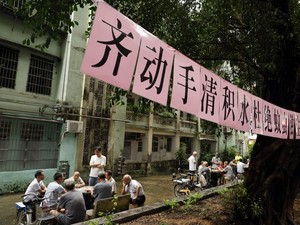 China Pakai Protokol COVID-19 untuk Hentikan Penyebaran Chikungunya