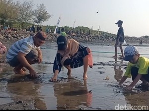 Video: Meriahkan Bulan Kemerdekaan, Warga Probolinggo Lomba Cari Kerang