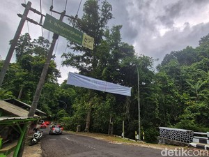 Menepi dari Sinyal, Menyambung Canda di Pinggir Hutan