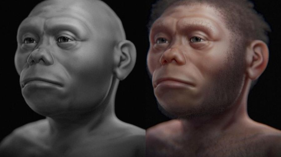 Hasil rekonstruksi wajah Homo floresiensis, kerabat manusia yang tinggal di Flores, NTT belasan ribu tahun lalu. Foto: Cicero Moraes/Arc-Team Brazil, Sinop-MT via DetikiNet