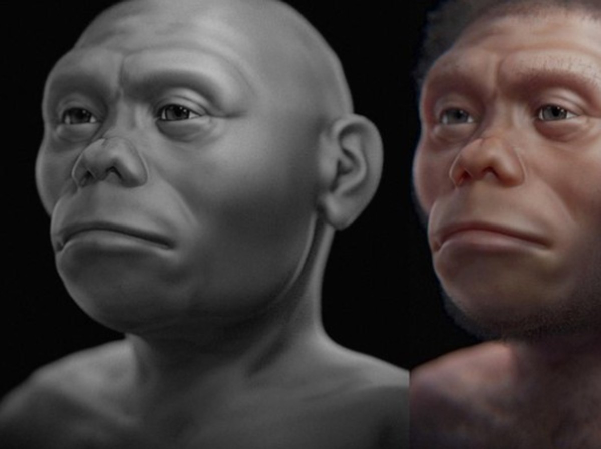 Sulawesi Jadi Asal Manusia Purba 'Hobbit' Homo floresiensis, Studi Terbaru Ungkap