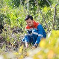Pertamina Ikut Pengembangan Kawasan Mangrove Nasional Kamal Muara