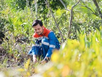 Pertamina Ikut Pengembangan Kawasan Mangrove Nasional Kamal Muara