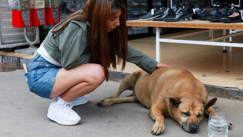 A resident pets 
