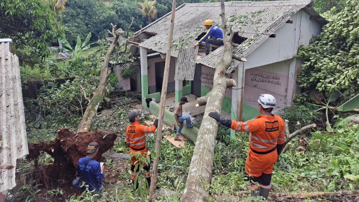 Tertimpa Pohon Tumbang, Rumah Warga di Bogor Rusak — NadiKabar.com