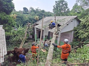 Tertimpa Pohon Tumbang, Rumah Warga di Bogor Rusak