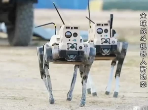 China Pamer Pasukan Robot Tempur yang Mengerikan