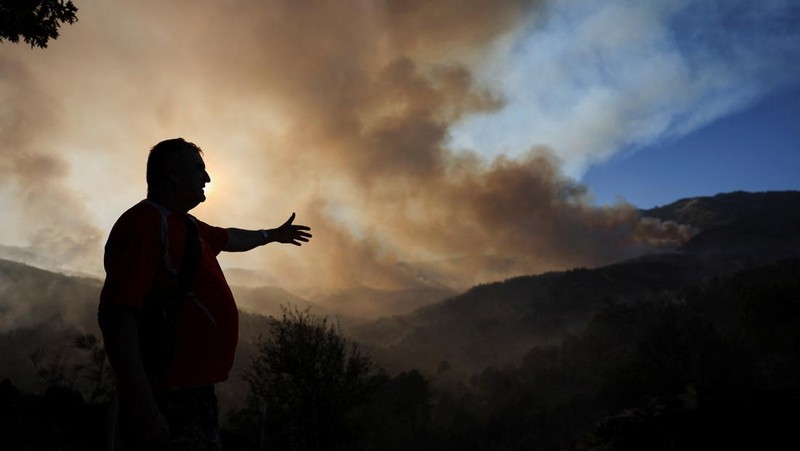 Kebakaran hutan di Spanyol makin meluas hingga memaksa otoritas berwenang mengevakuasi 1.400 orang di wilayah Castille dan Leon, Senin (11/8/2025) pagi. (REUTERS/Juan Medina)