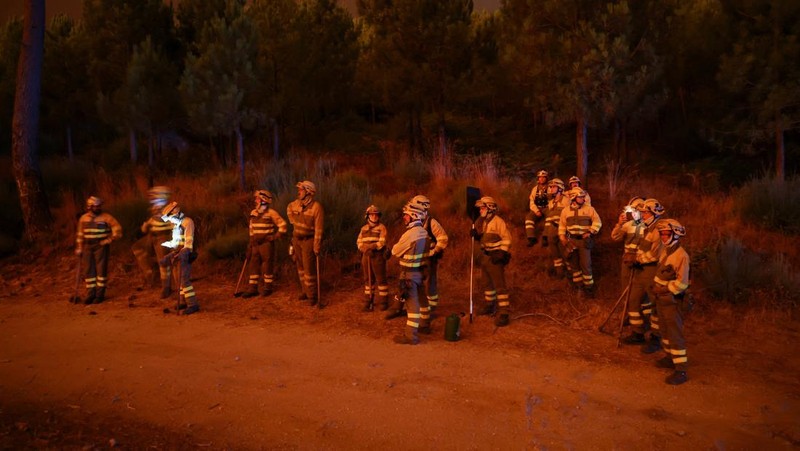 Kebakaran hutan di Spanyol makin meluas hingga memaksa otoritas berwenang mengevakuasi 1.400 orang di wilayah Castille dan Leon, Senin (11/8/2025) pagi. (REUTERS/Juan Medina)