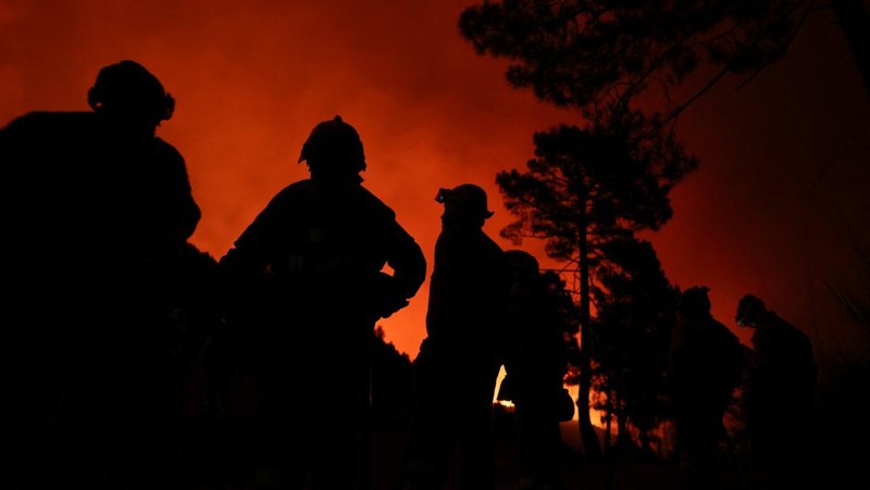 Kebakaran hutan di Spanyol makin meluas hingga memaksa otoritas berwenang mengevakuasi 1.400 orang di wilayah Castille dan Leon, Senin (11/8/2025) pagi. (REUTERS/Juan Medina)