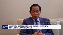 Video: KLH Hukum Korporasi Lalai, 25 Konsesi dalam Proses